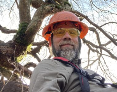 Tree Care